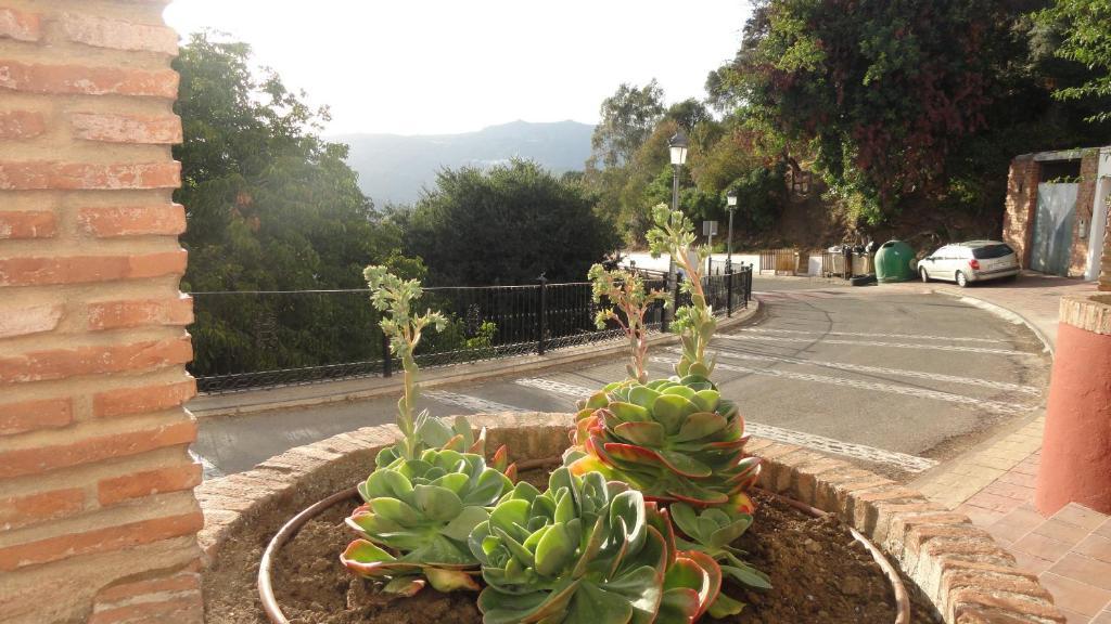 Posada Mirador De Jubrique Bagian luar foto